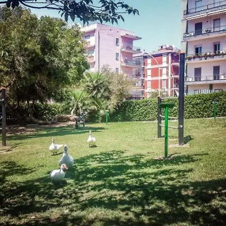 Natu Κάλιαρι