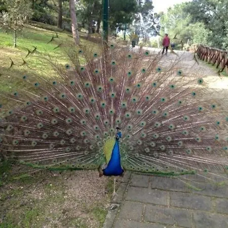 Bed & Breakfast Natu Cagliari