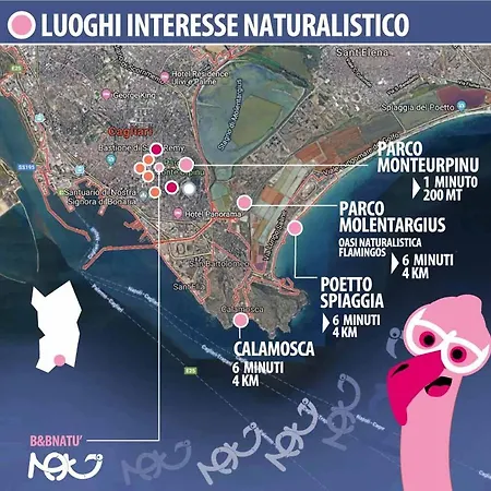 Natù * Cagliari