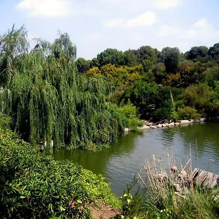 לינה וארוחת בוקר Natu